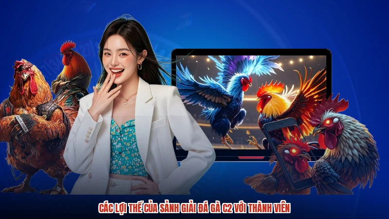 Các lợi thế của sảnh Giải đá gà C2 với thành viên