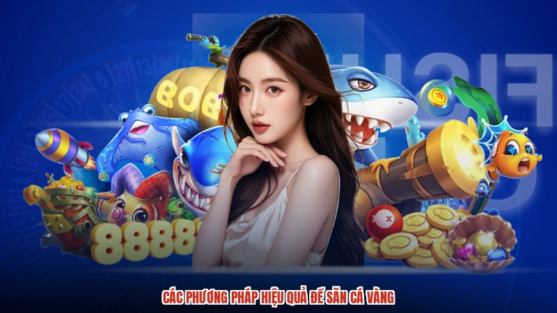 Các phương pháp hiệu quả để săn cá vàng