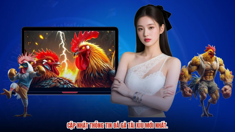 Cập nhật thông tin đá gà TÀI XỈU mới nhất.