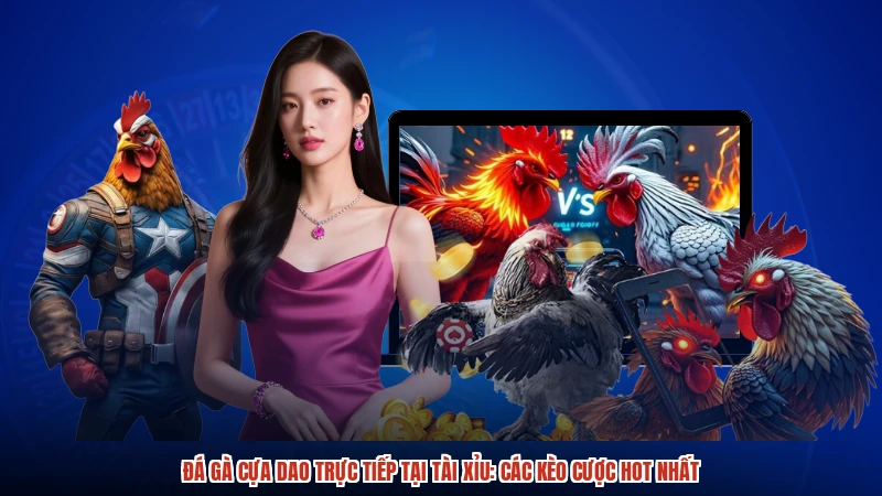 Đá gà cựa dao trực tiếp tại TÀI XỈU: Các kèo cược hot nhất