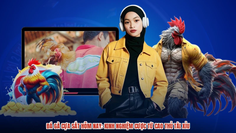 Đá gà cựa sắt hôm nay: Kinh nghiệm cược từ cao thủ TÀI XỈU