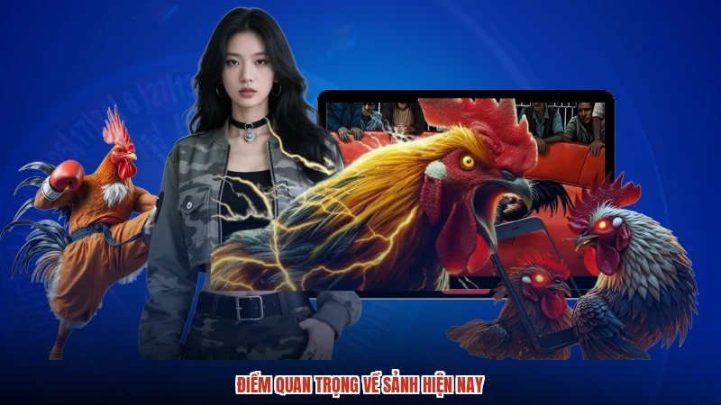 Điểm quan trọng về sảnh hiện nay