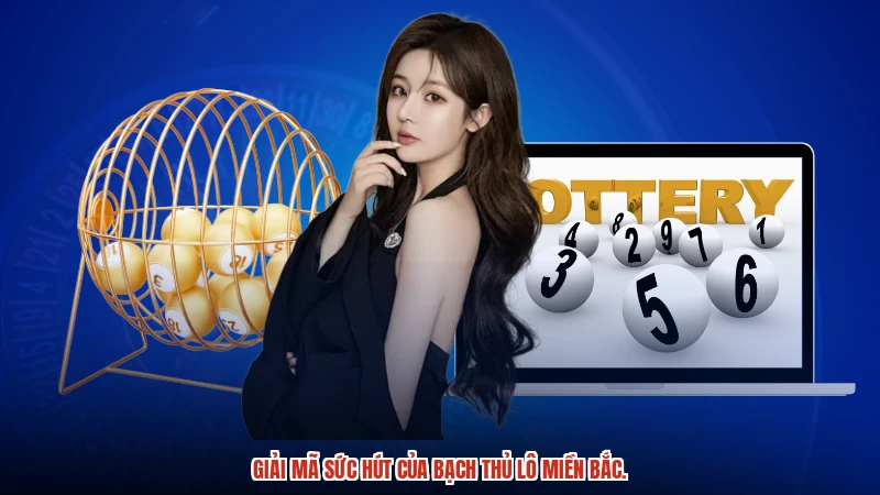 Giải mã sức hút của Bạch thủ lô miền Bắc.