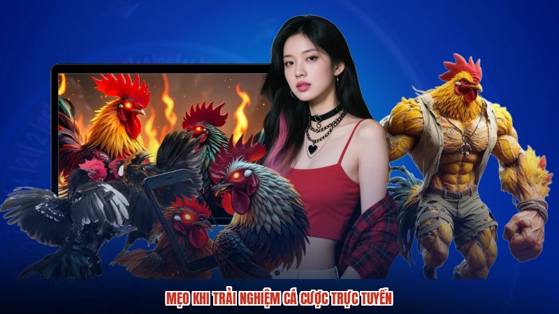 Mẹo khi trải nghiệm cá cược trực tuyến
