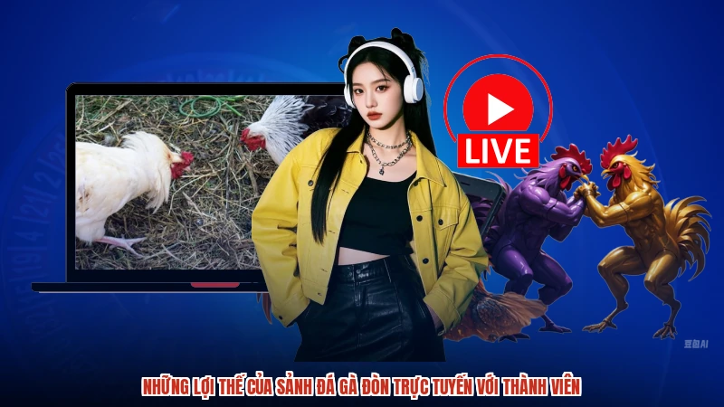 Những lợi thế của sảnh Đá gà đòn trực tuyến với thành viên