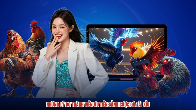 Những lý do thành viên ưu tiên sảnh cược gà TÀI XỈU