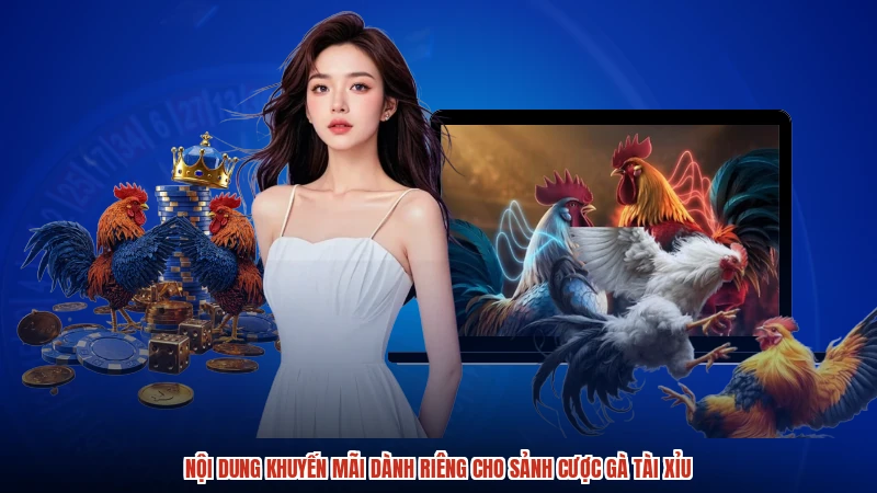 Nội dung khuyến mãi dành riêng cho sảnh cược gà TÀI XỈU