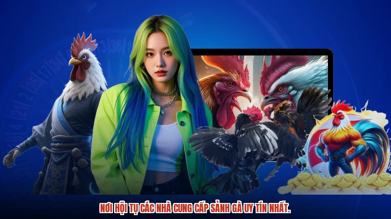 Nơi hội tụ các nhà cung cấp sảnh gà uy tín nhất.