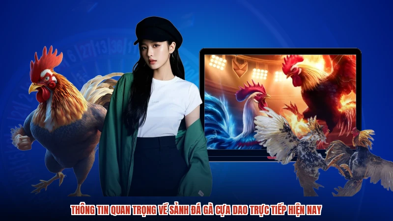 Thông tin quan trọng về sảnh Đá gà cựa dao trực tiếp hiện nay