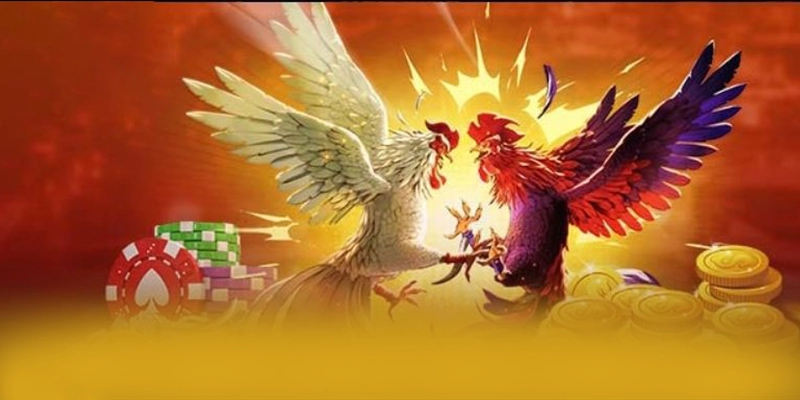 Dịch vụ hỗ trợ người chơi tại 8XBET Dịch vụ hỗ trợ người chơi tại 8XBET