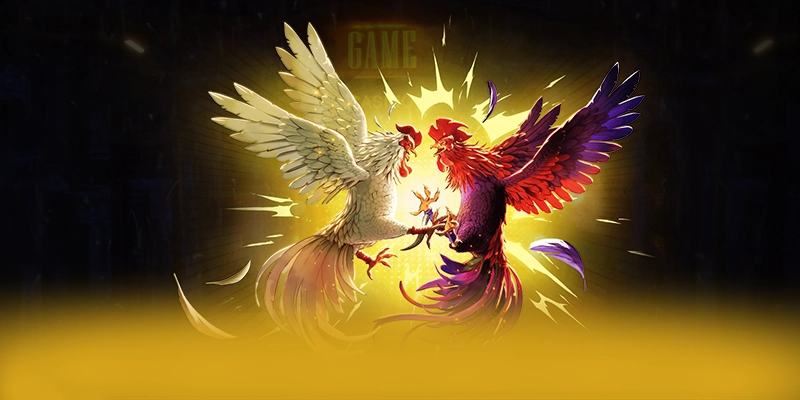 FB88 - Sân chơi được game thủ yêu thích tại Việt Nam FB88 - Sân chơi được game thủ yêu thích tại Việt Nam